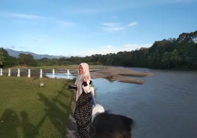 ja;an setapak di irigasi